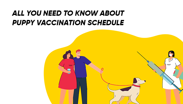 All You Need To Know About Puppy Vaccination Schedule