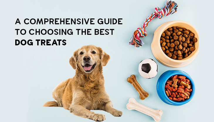 A Comprehensive Guide To Choosing The Best Dog Treats