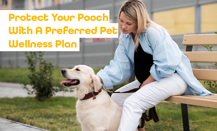 Protect Your Pooch With A Preferred Pet Wellness Plan
