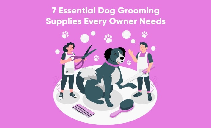 7 Essential Dog Grooming Supplies Every Owner Needs