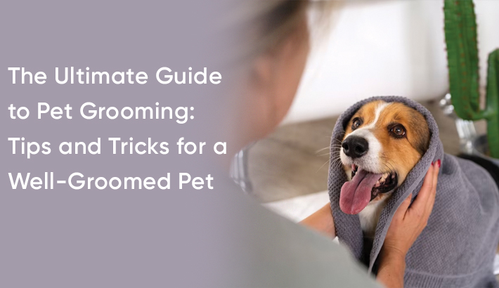 The Ultimate Guide to Pet Grooming: Tips and Tricks for a Well-Groomed Pet
