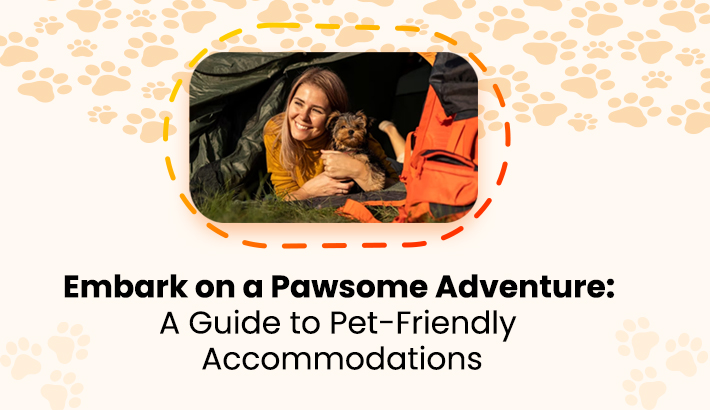 Embark on a Pawsome Adventure: A Guide to Pet-Friendly Accommodations