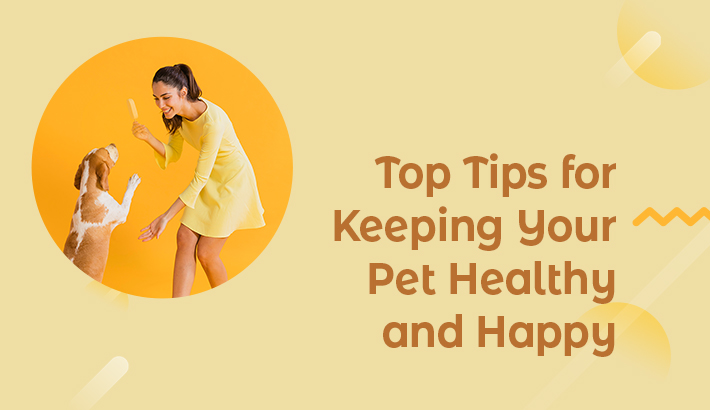 Top Tips for Keeping Your Pet Healthy and Happy