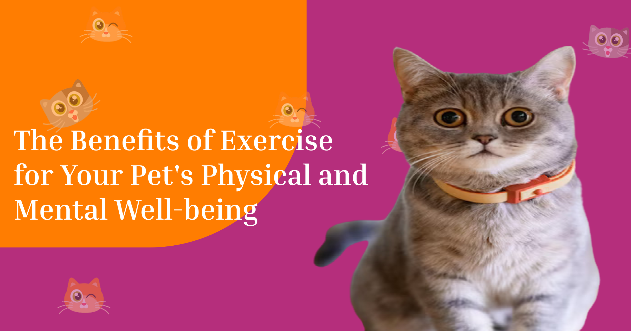 The Benefits of Exercise for Your Pet's Physical and Mental Well-being