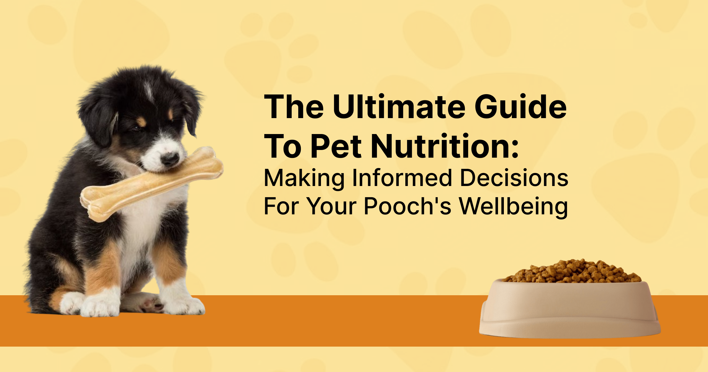 The Ultimate Guide To Pet Nutrition: Making Informed Decisions For Your Pooch's Wellbeing