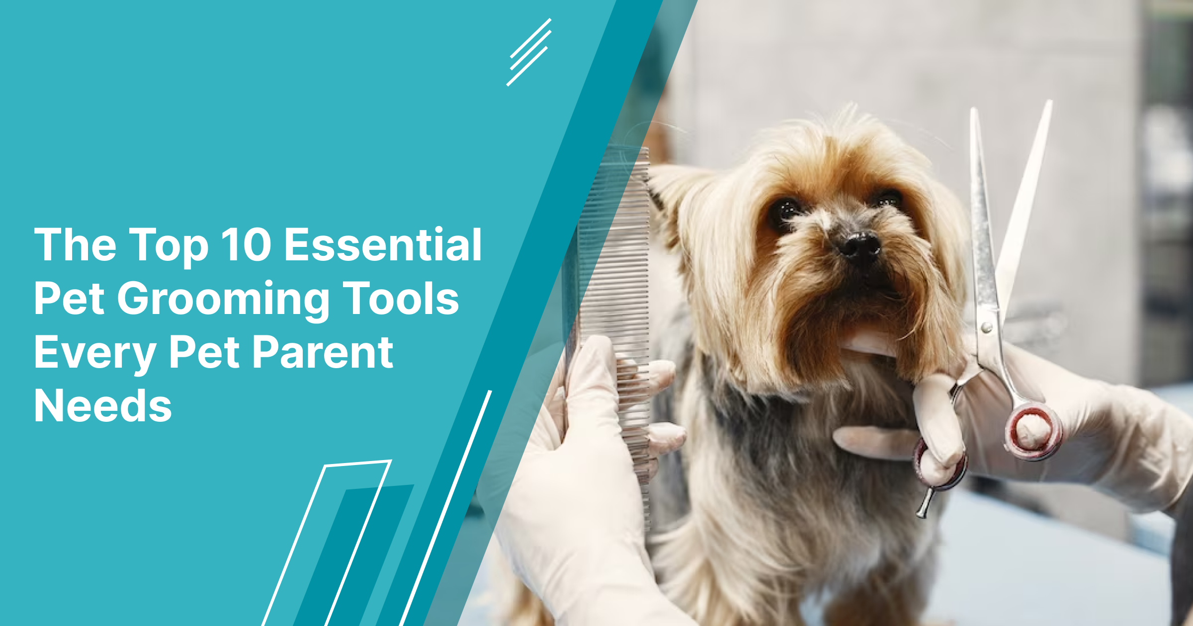 The Top 10 Essential Pet Grooming Tools Every Pet Parent Needs