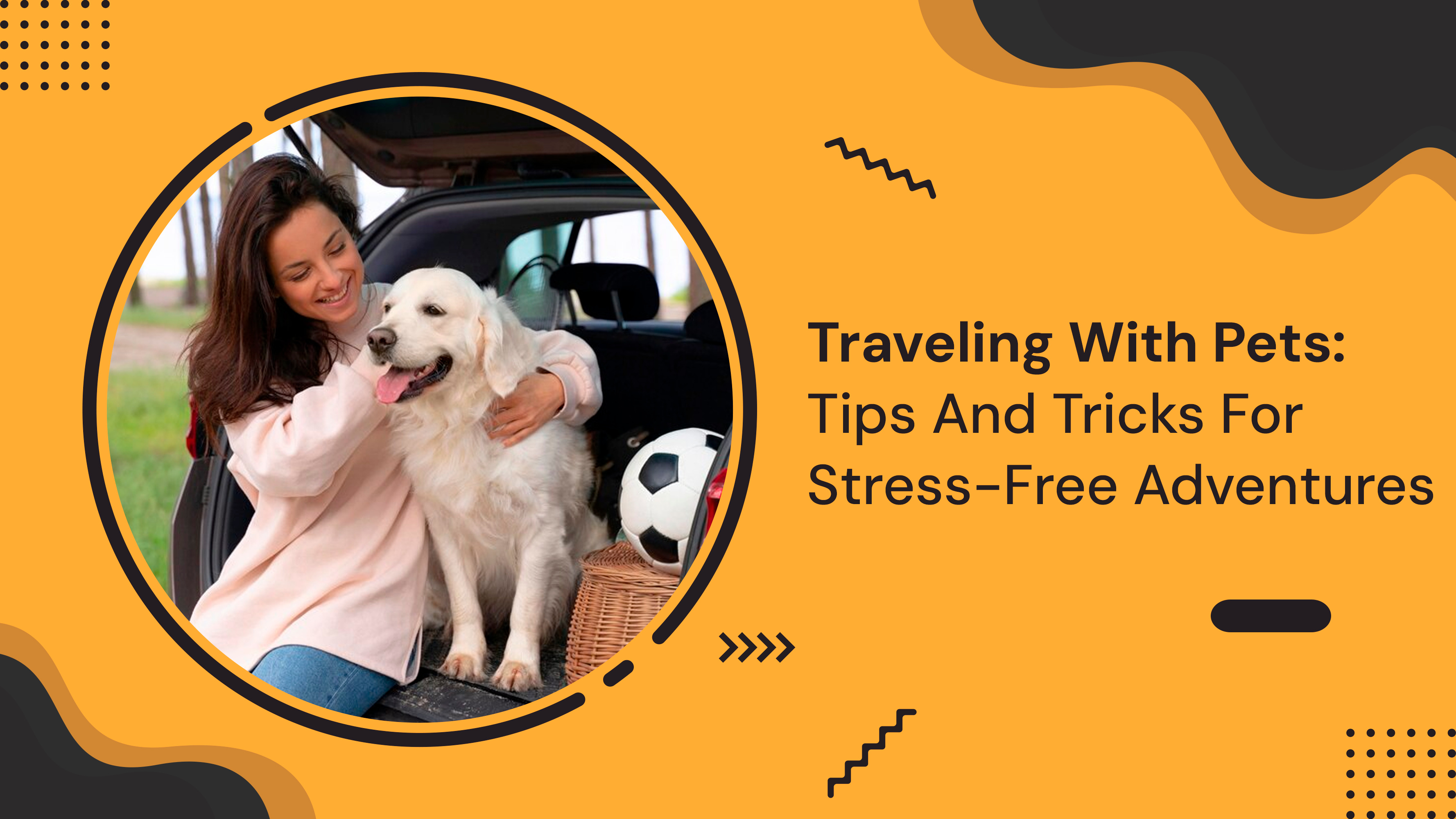 Traveling With Pets: Tips And Tricks For Stress-Free Adventures