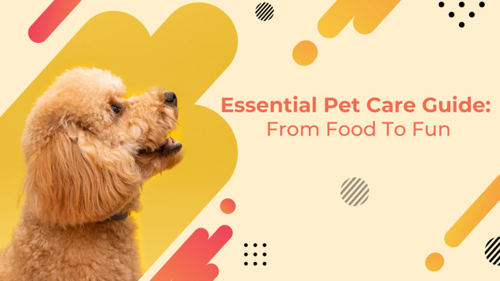 Essential Pet Care Guide: From Food To Fun